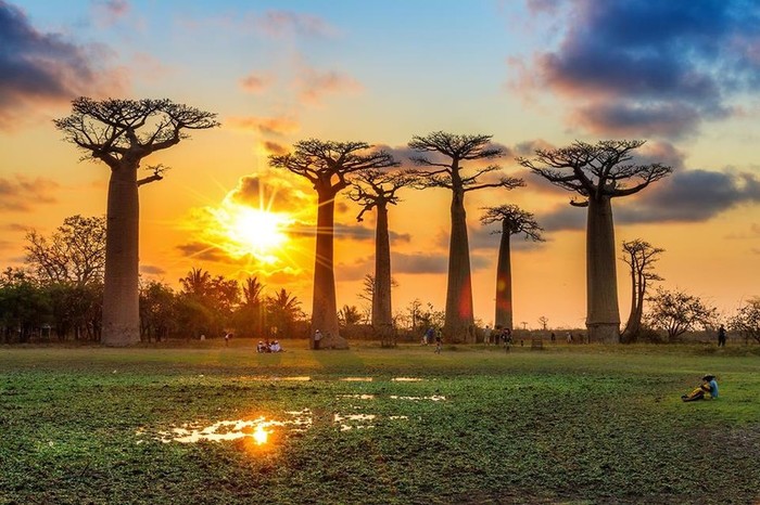 Potopisni večer v Celju: Madagaskar