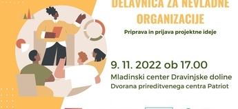 Delavnica za nevladne organizacije