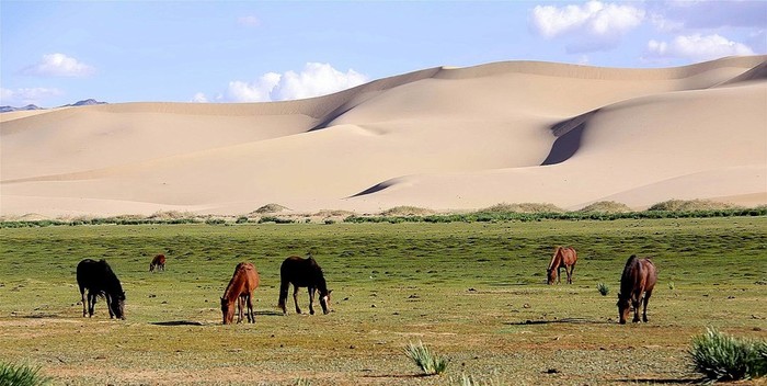 Potopisno predavanje Kirgizija, Tadžikistan, Mongolija