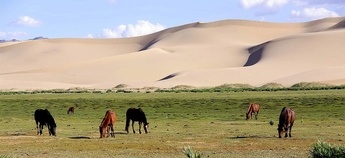 Potopisno predavanje Kirgizija, Tadžikistan, Mongolija