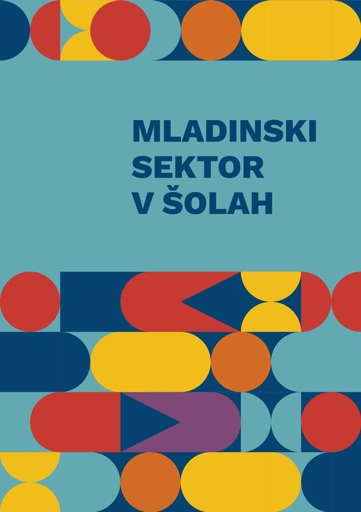 Mladinski sektor v šolah