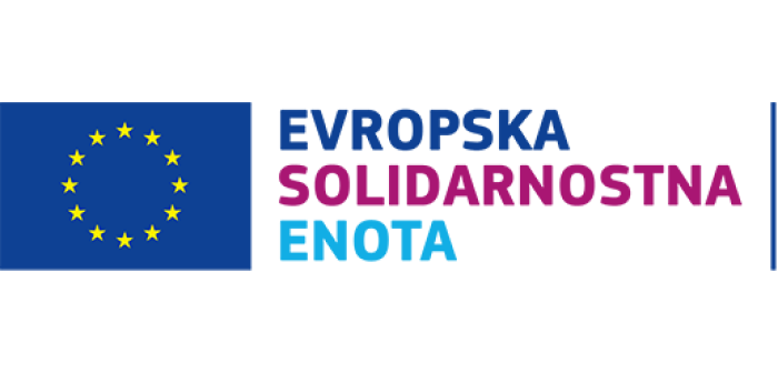 Delavnice za podporo pri prijavi solidarnostnih projektov