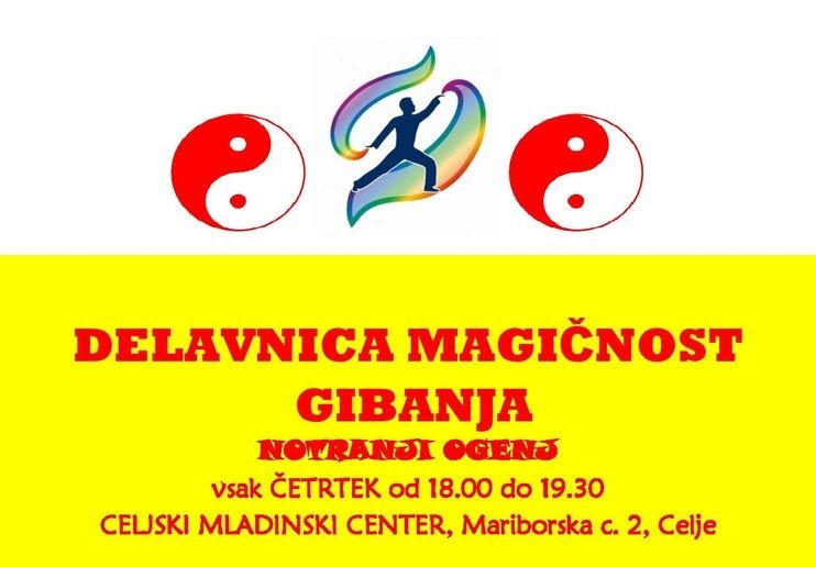 DELAVNICA: Magičnost gibanja