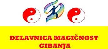 DELAVNICA: Magičnost gibanja