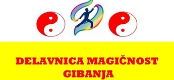 DELAVNICA: Magičnost gibanja