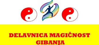 DELAVNICA: Magičnost gibanja