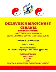 DELAVNICA: Magičnost gibanja