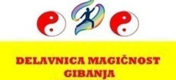 DELAVNICA: Magičnost gibanja