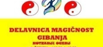 DELAVNICA: Magičnost gibanja