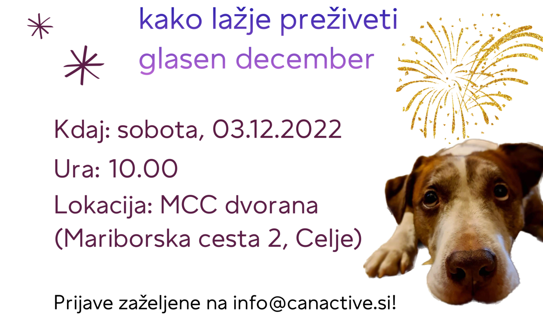 PSI IN POKANJE: Kako lažje preživeti glasen december?