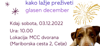 PSI IN POKANJE: Kako lažje preživeti glasen december?