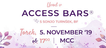 Uvod v Access Bars®