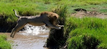 Potopisno predavanje: Kenija&Tanzanija z Zanzibarjem