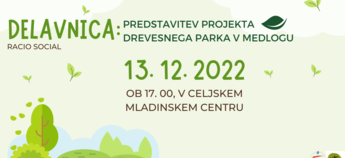 DELAVNICA: Predstavitev projekta drevesnega parka v Medlogu