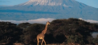 Moja Afrika – vzpon na Kilimandžaro in Mt. Kenya