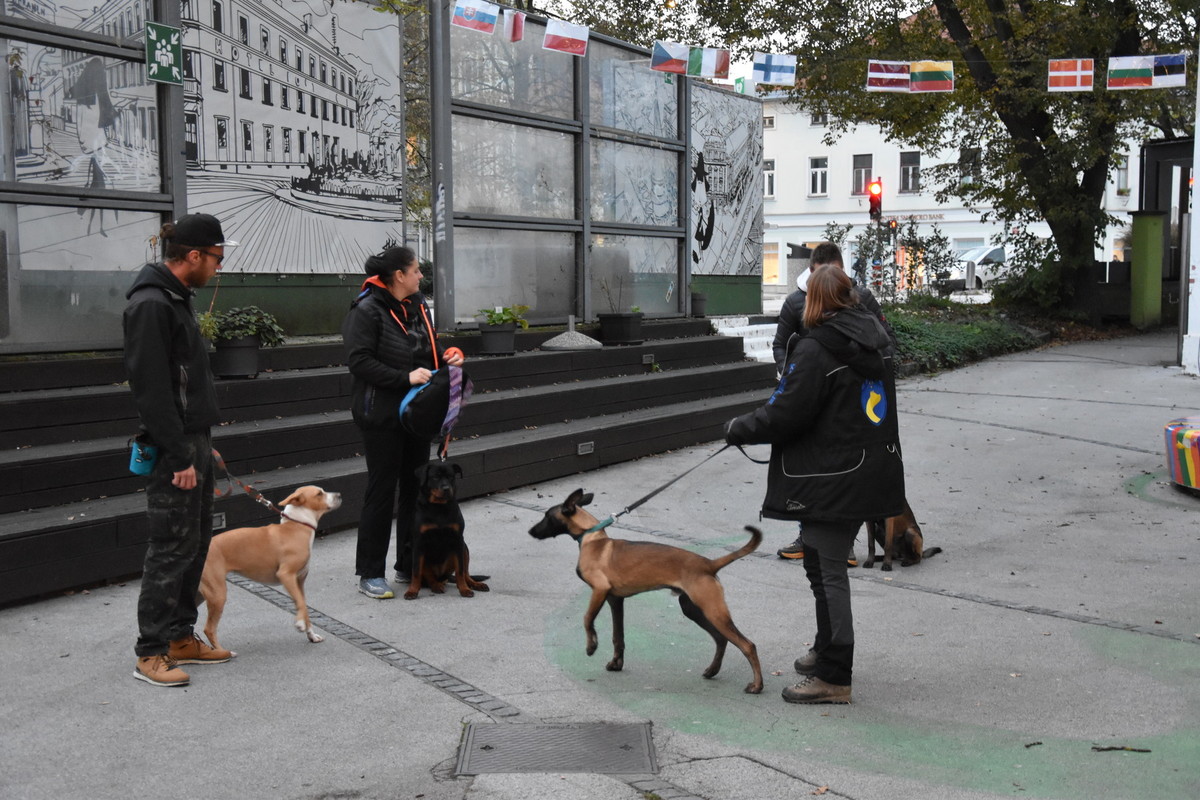 Predstavitev kinološkega društva Celje, 13. 11. 2023