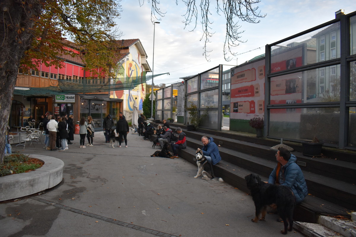 Predstavitev kinološkega društva Celje