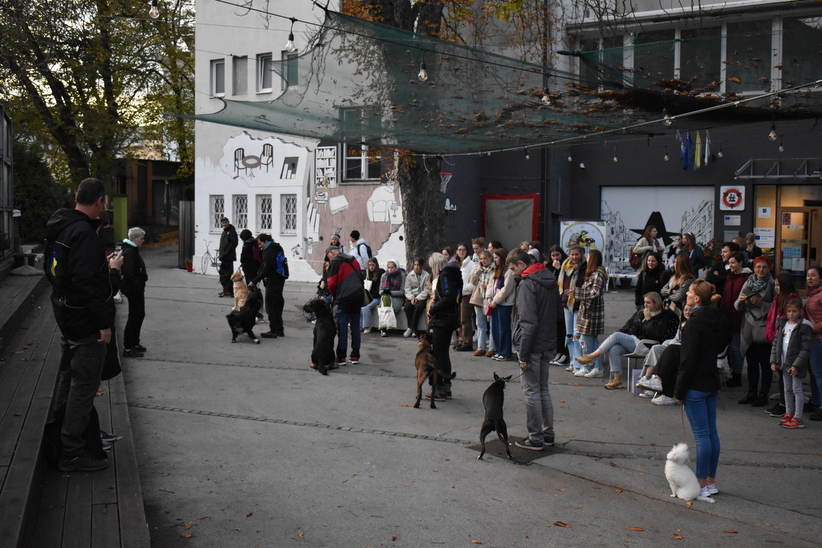 Predstavitev kinološkega društva Celje