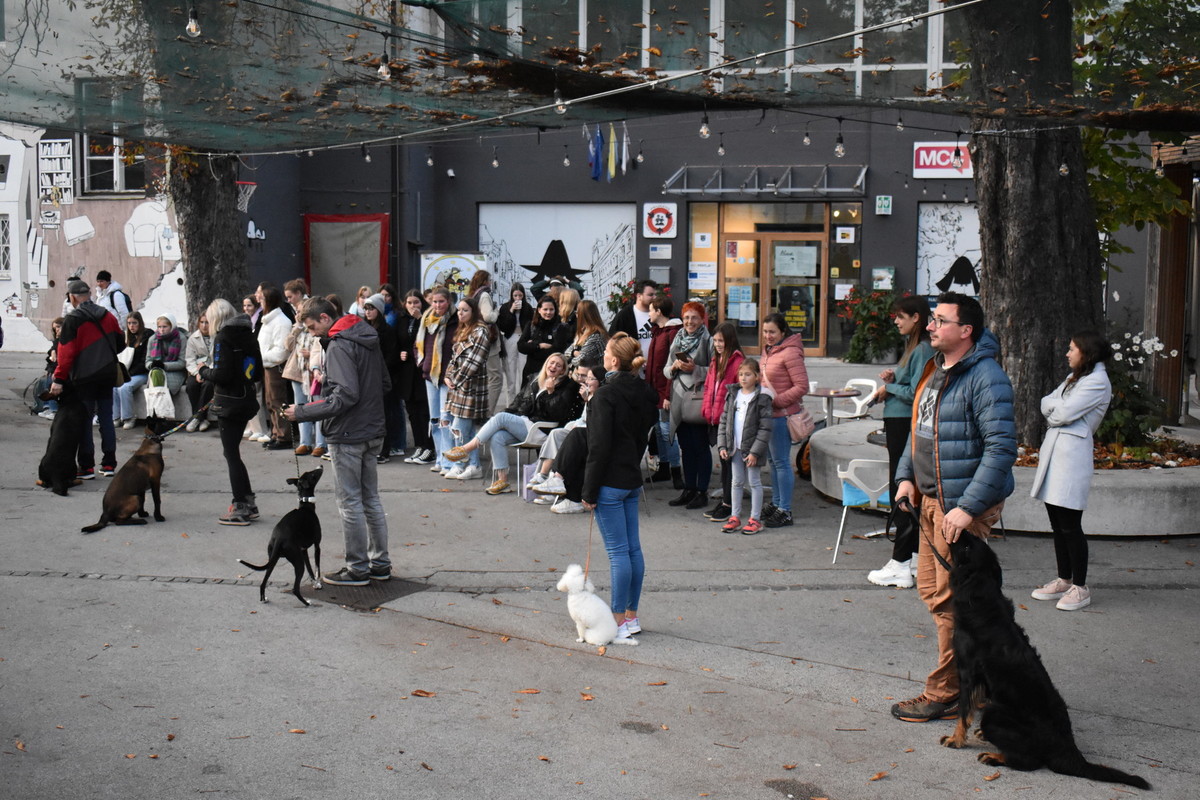 Predstavitev kinološkega društva Celje