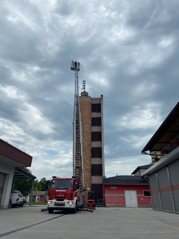 Počitniško delo: Zelenice, Desetka, PGE Celje